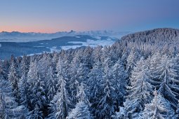 Bergklub: Chuderhüsi (1132 m.ü.M.)