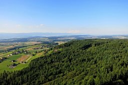 Bergklub: Chutzenturm (45m) (820 m.ü.M.)