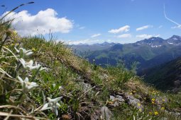 Bergklub: Alteingrat (2340 m.ü.M.)